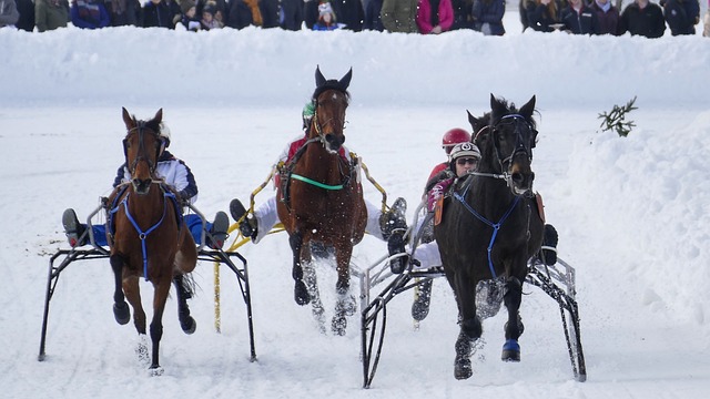在中场位置 在中场位置