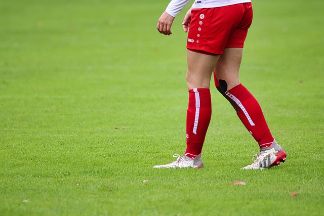 球员与球队 球员与球队