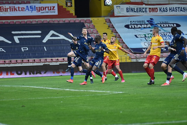 蒙克的数据 蒙克的数据