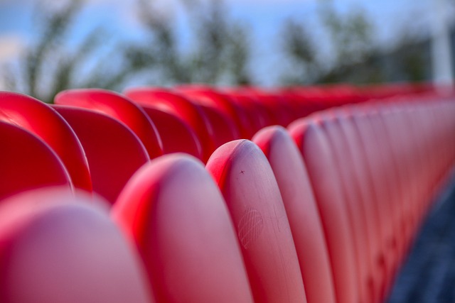 海港与莱昂 海港与莱昂