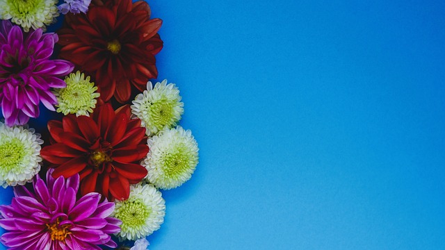 仅为他们的 仅为他们的