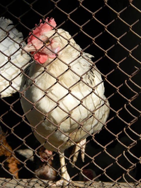 次亮相都給 次亮相都給