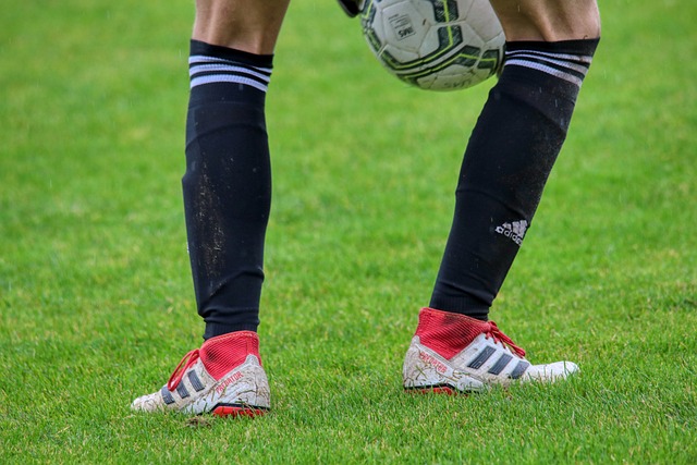 在过去的几 在过去的几